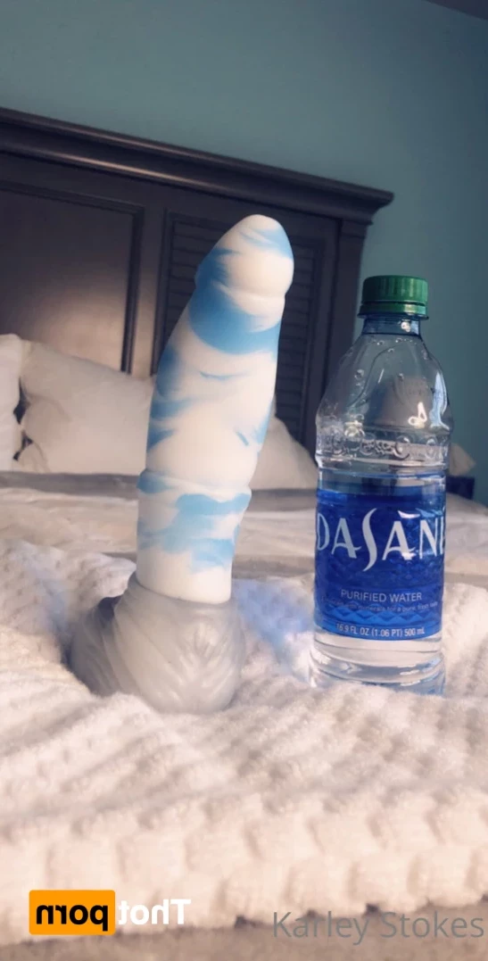 Karley Stokes [ karleystokes ] Onlyfans leaked photo 15454374 on Hotleaks.tv