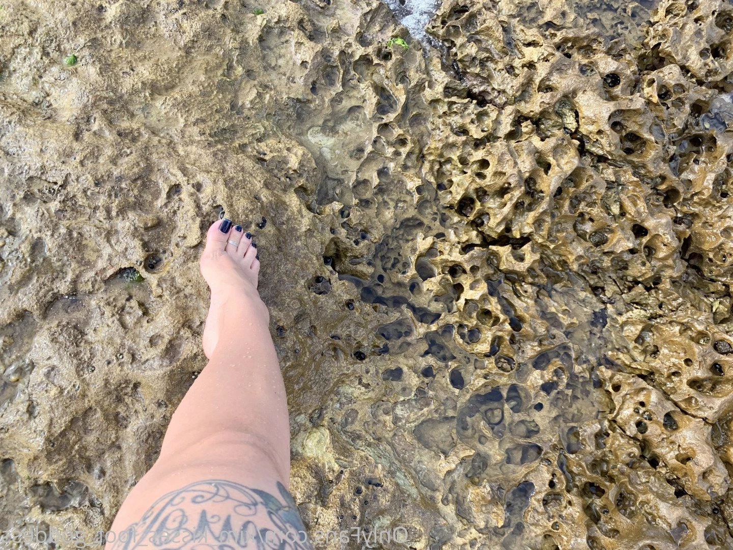 💋Kim Kisses💋 [ kim_kisses_foot_goddess ] Onlyfans leaked photo 3283083 on Hotleaks.tv