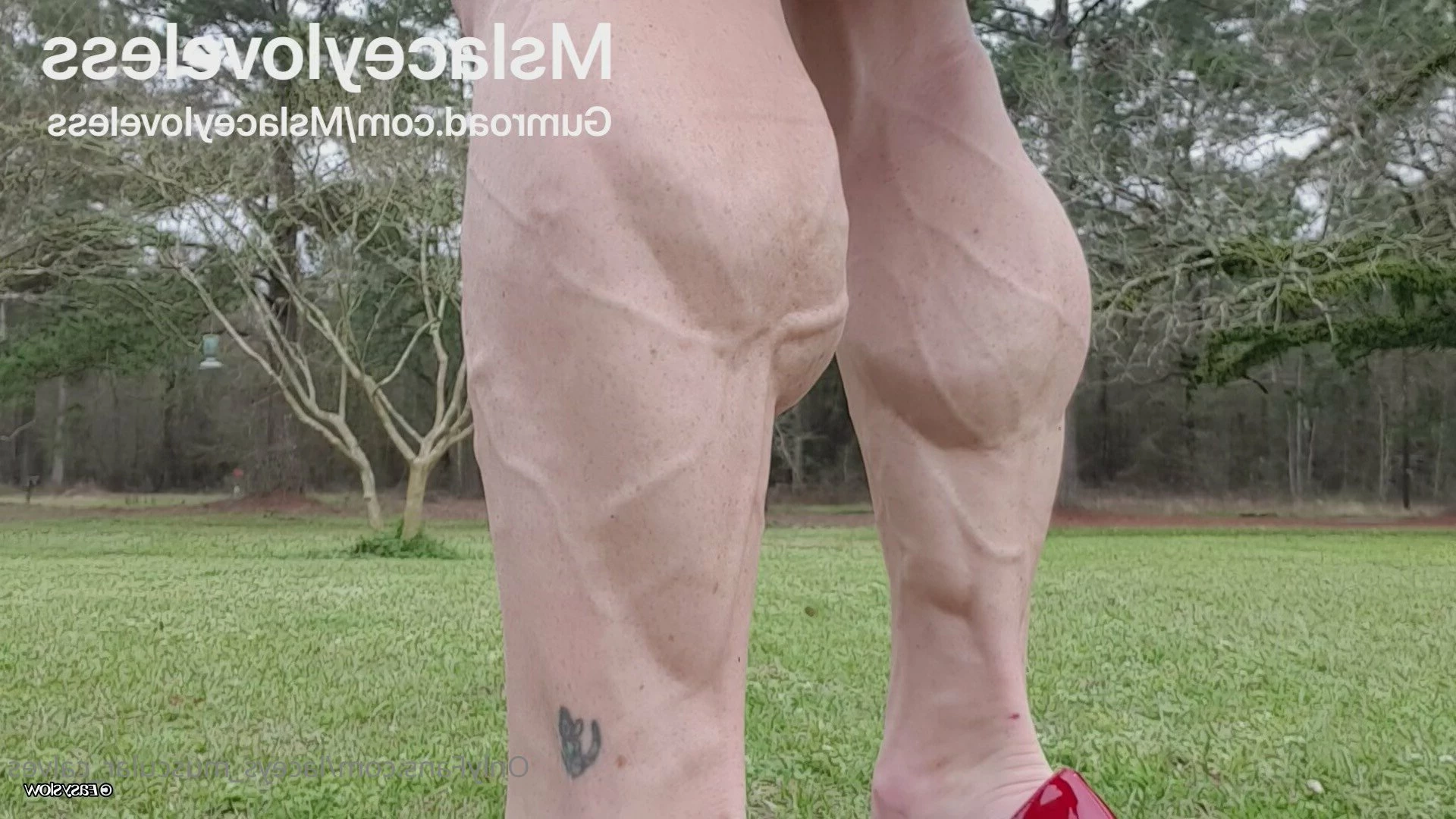 Ms Lacey Loveless [ laceys_muscular_calves ] Onlyfans leaked photo 3451888 on Hotleaks.tv