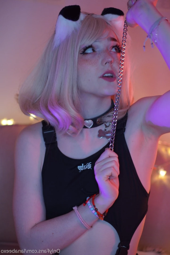 Lana Bee 🐶 (they/them) [ lanabeexo ] Onlyfans leaked photo 9432631 on Hotleaks.tv