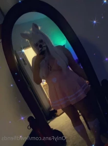 3211646