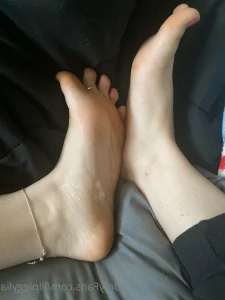 3137330