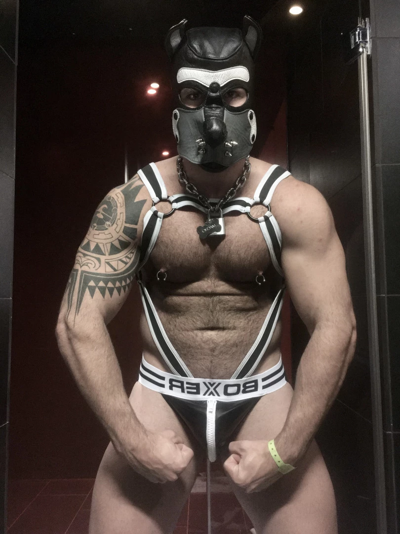 Macho [ machopup ] Onlyfans leaked photo 5844465 on Hotleaks.tv
