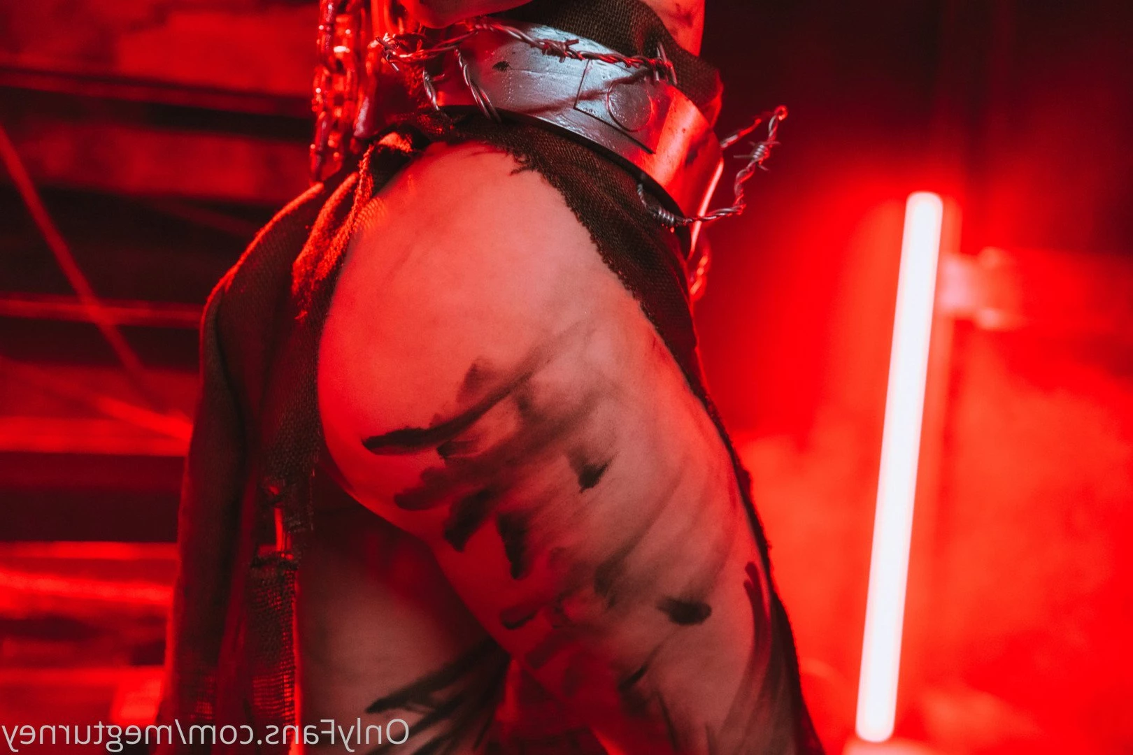 Meg Turney VIP [ megturneyvip ] Onlyfans leaked photo 3049095 on Hotleaks.tv