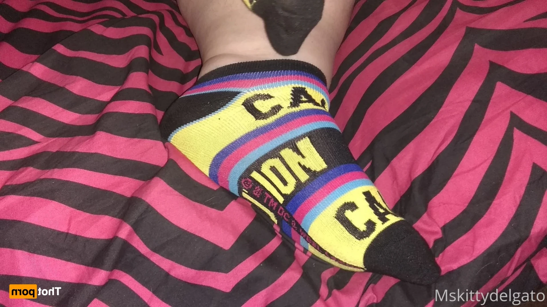 Ms. Kitty Delgato [ mskittydelgato ] Onlyfans leaked photo 13047364 on Hotleaks.tv
