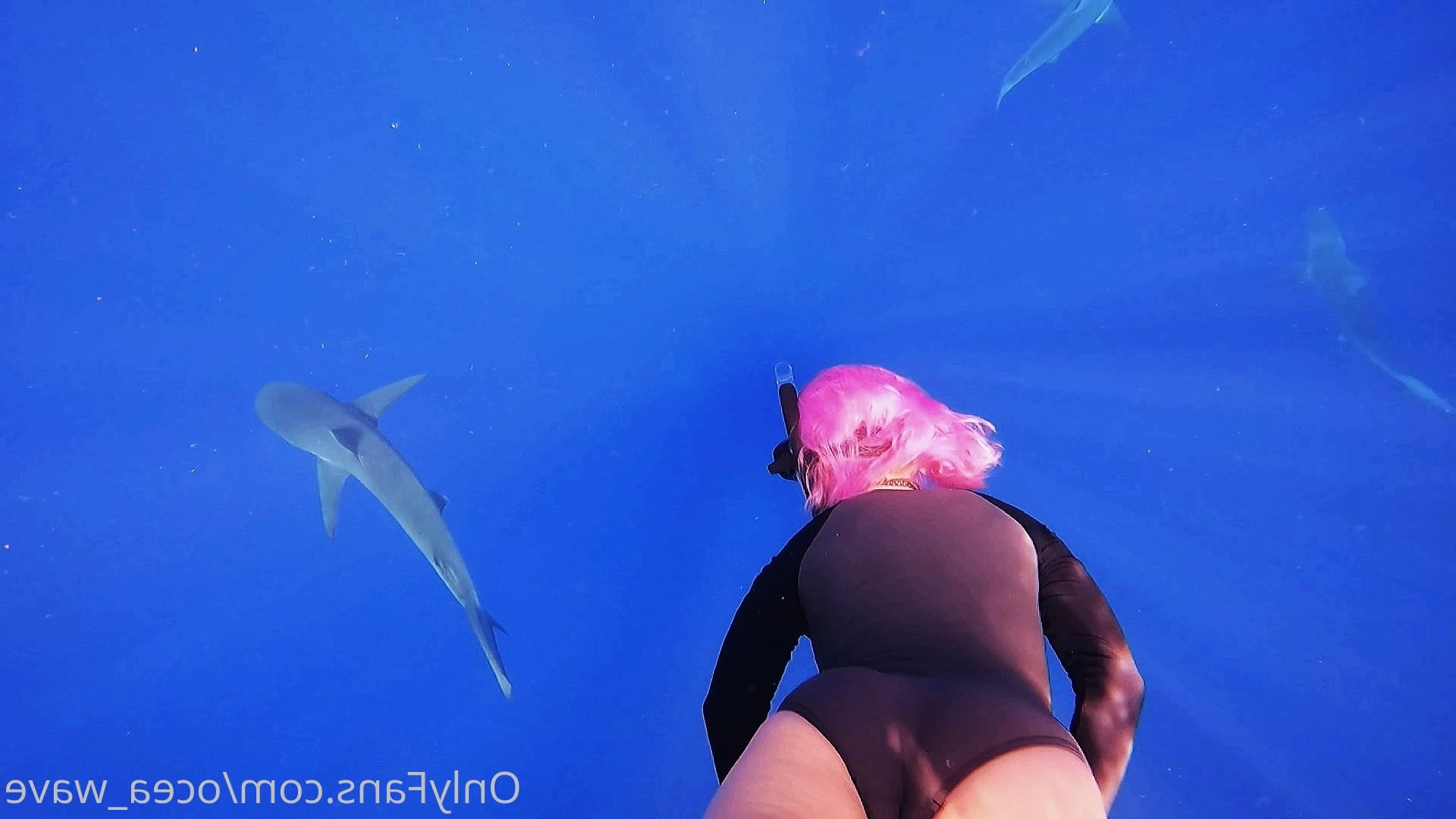 OceaWave💙🌊 [ ocea_wave ] Onlyfans leaked photo 5835837 on Hotleaks.tv