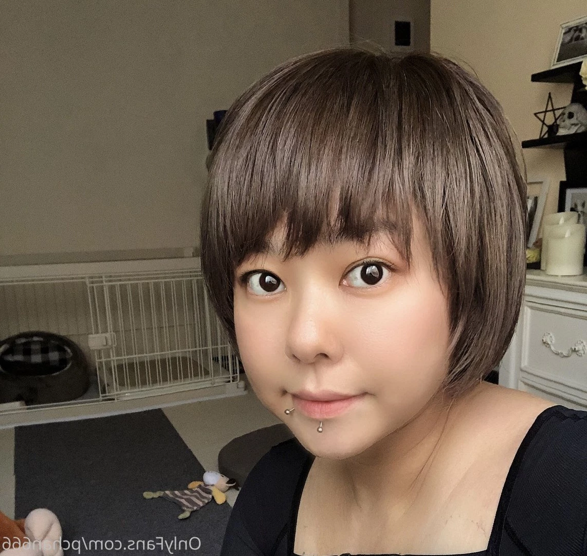 Pchan [ pchan666 ] Onlyfans leaked photo 2885560 on Hotleaks.tv