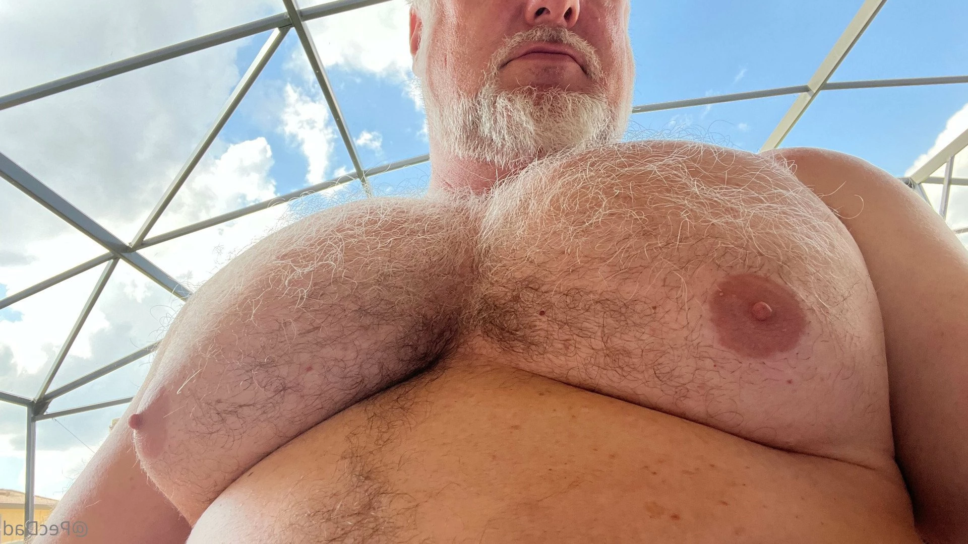 PecDad [ pecdad1 ] Onlyfans leaked photo 2882304 on Hotleaks.tv