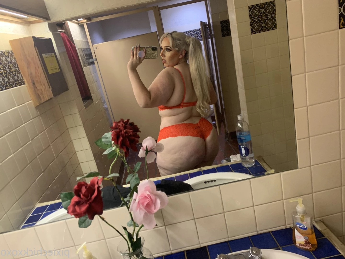 pixiechickxoxo Onlyfans leaked photo 2826973 on Hotleaks.tv