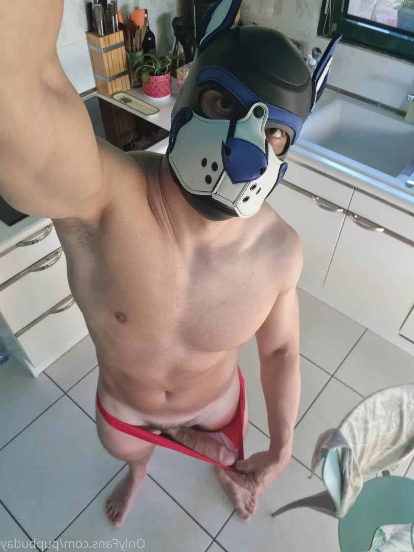 pupbuday Onlyfans leaked photo 2874378 on Hotleaks.tv