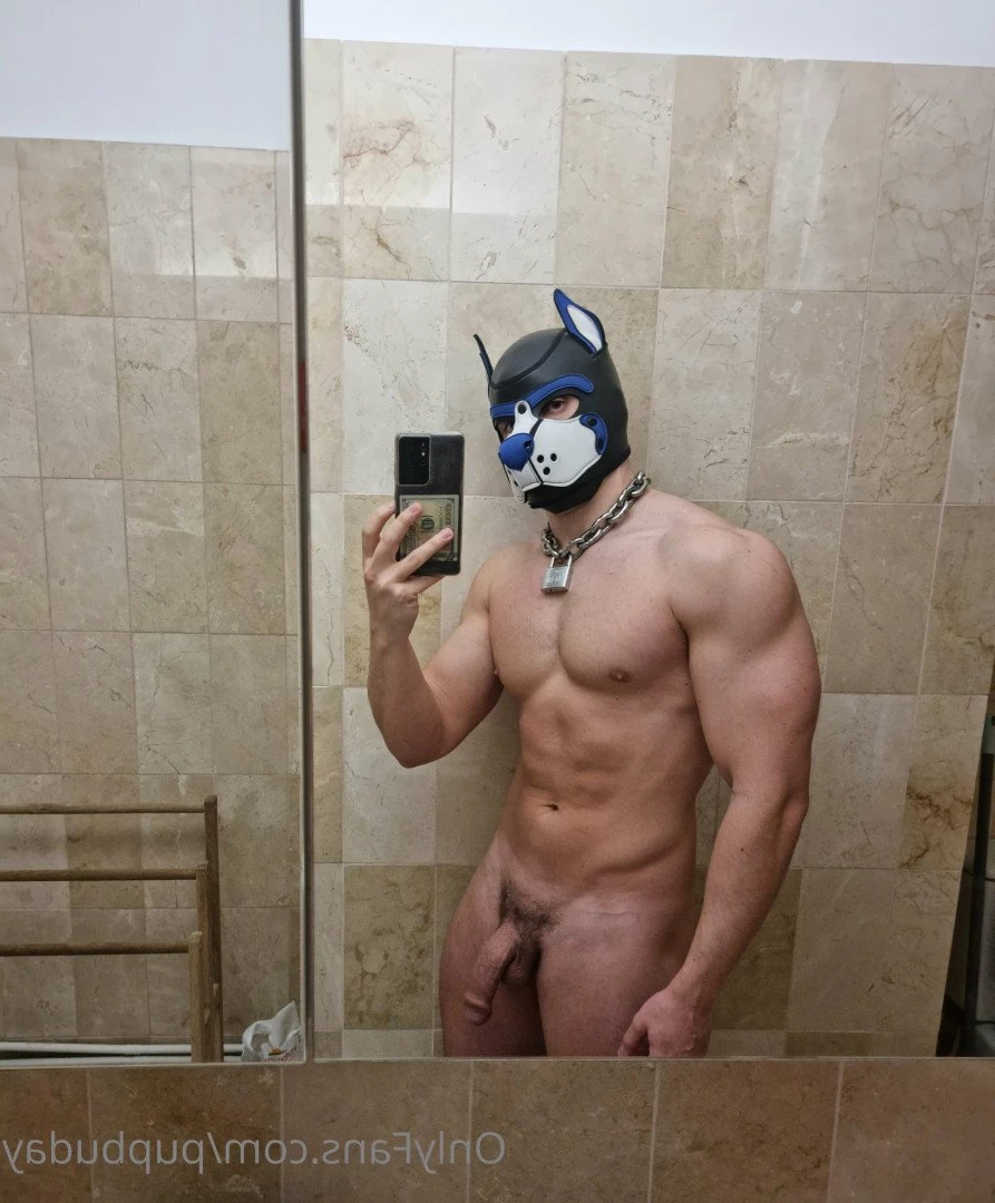 pupbuday Onlyfans leaked photo 2874692 on Hotleaks.tv