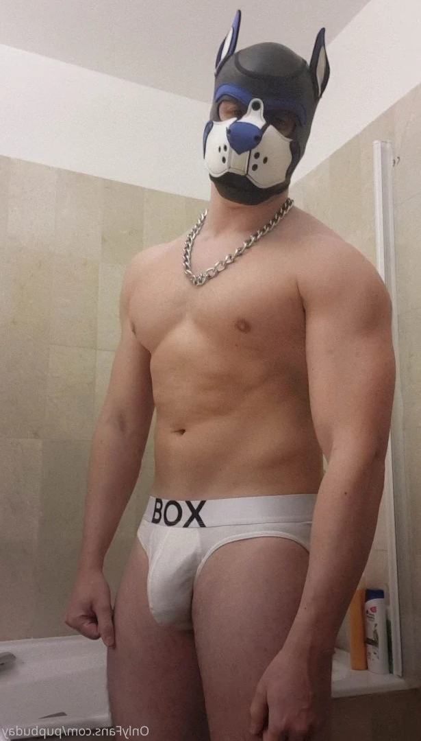 pupbuday Onlyfans leaked photo 2874908 on Hotleaks.tv