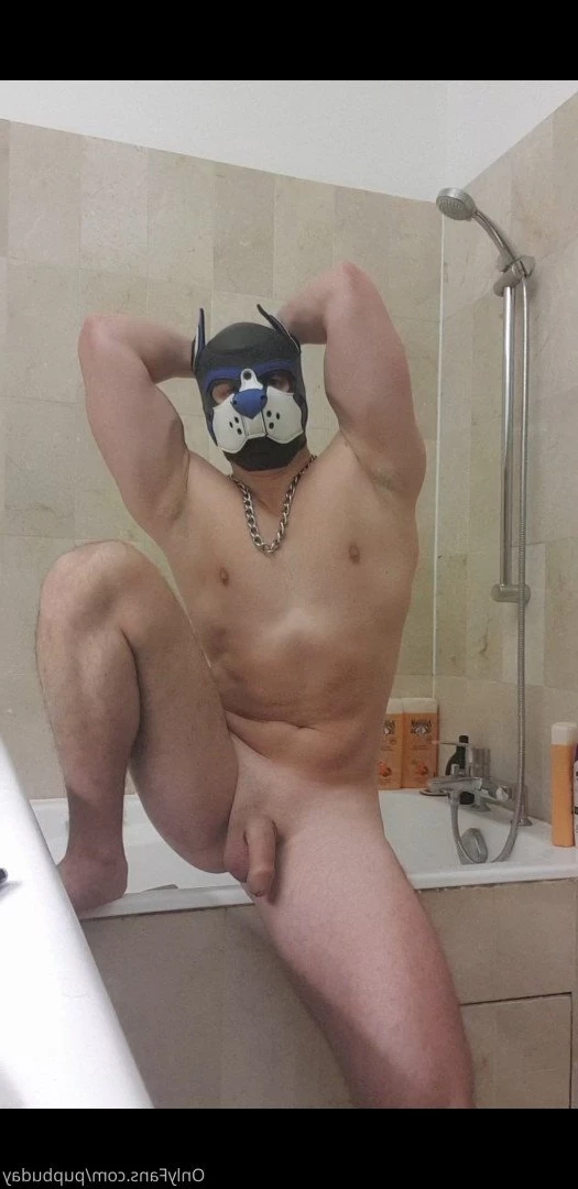 pupbuday Onlyfans leaked photo 2875378 on Hotleaks.tv