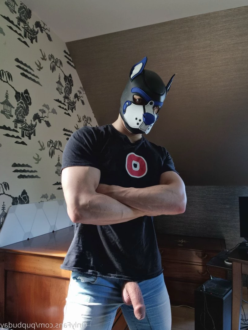 pupbuday Onlyfans leaked photo 2875395 on Hotleaks.tv