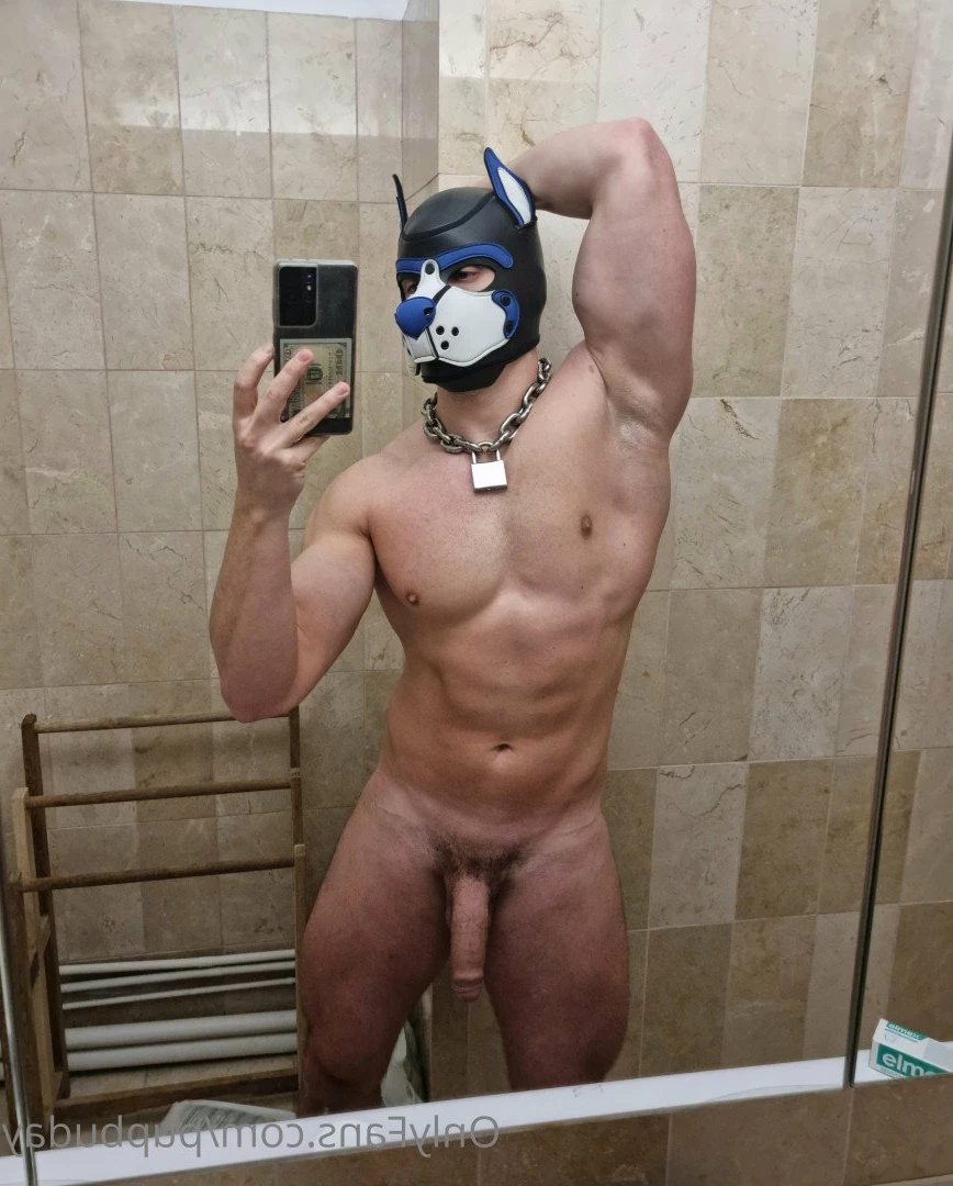 pupbuday Onlyfans leaked photo 2875507 on Hotleaks.tv