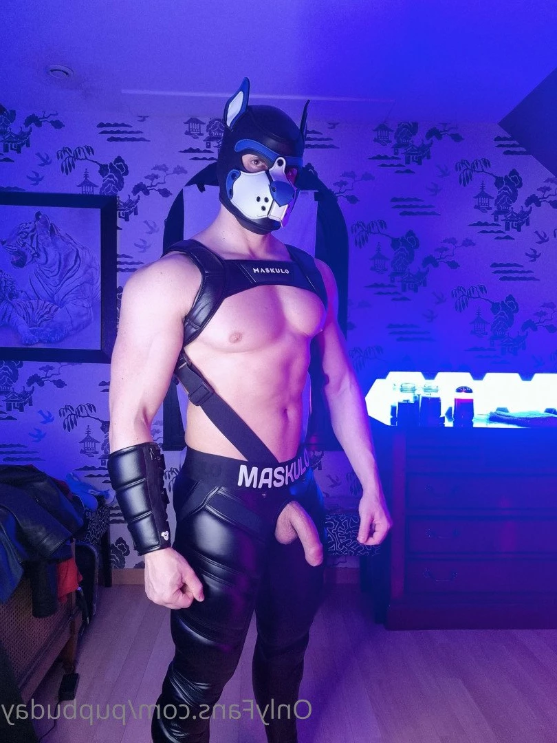pupbuday Onlyfans leaked photo 2875537 on Hotleaks.tv