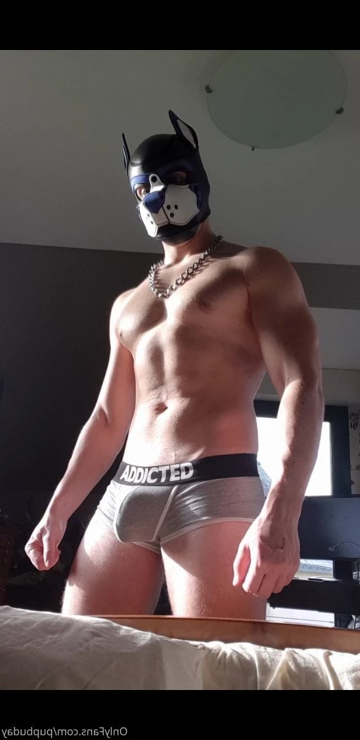 pupbuday Onlyfans leaked photo 2876523 on Hotleaks.tv