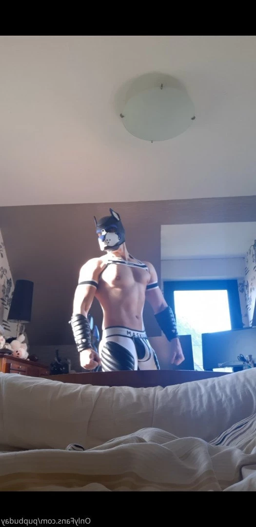 pupbuday Onlyfans leaked photo 2877892 on Hotleaks.tv