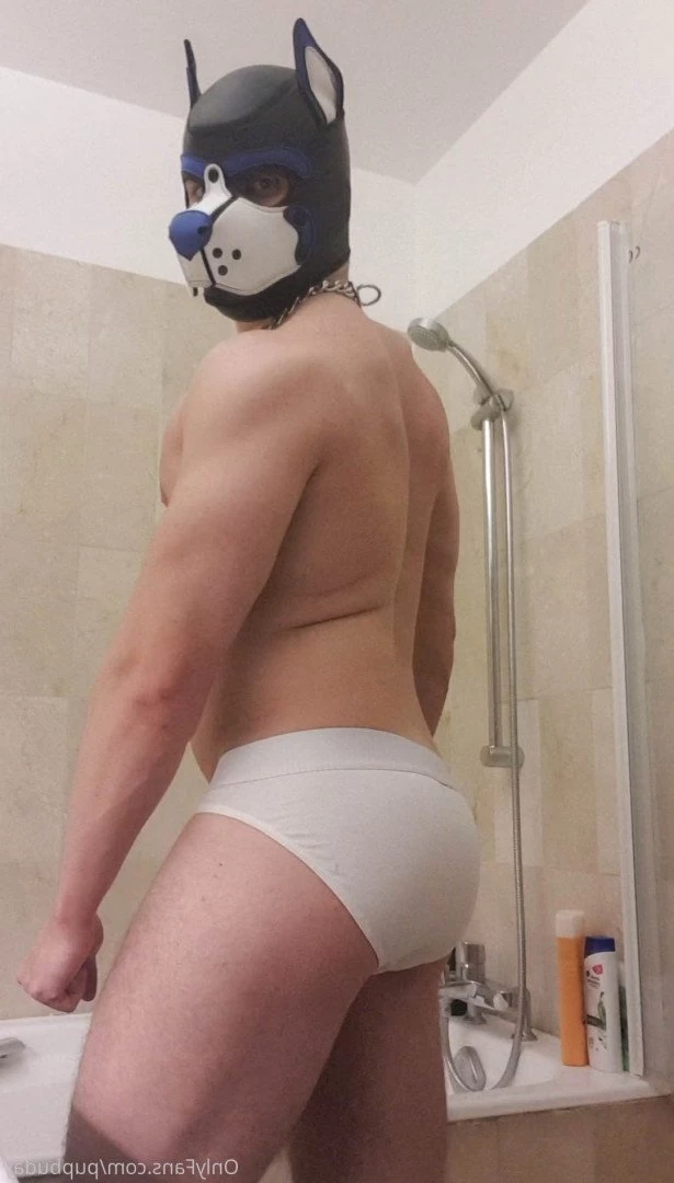 pupbuday Onlyfans leaked photo 2878283 on Hotleaks.tv
