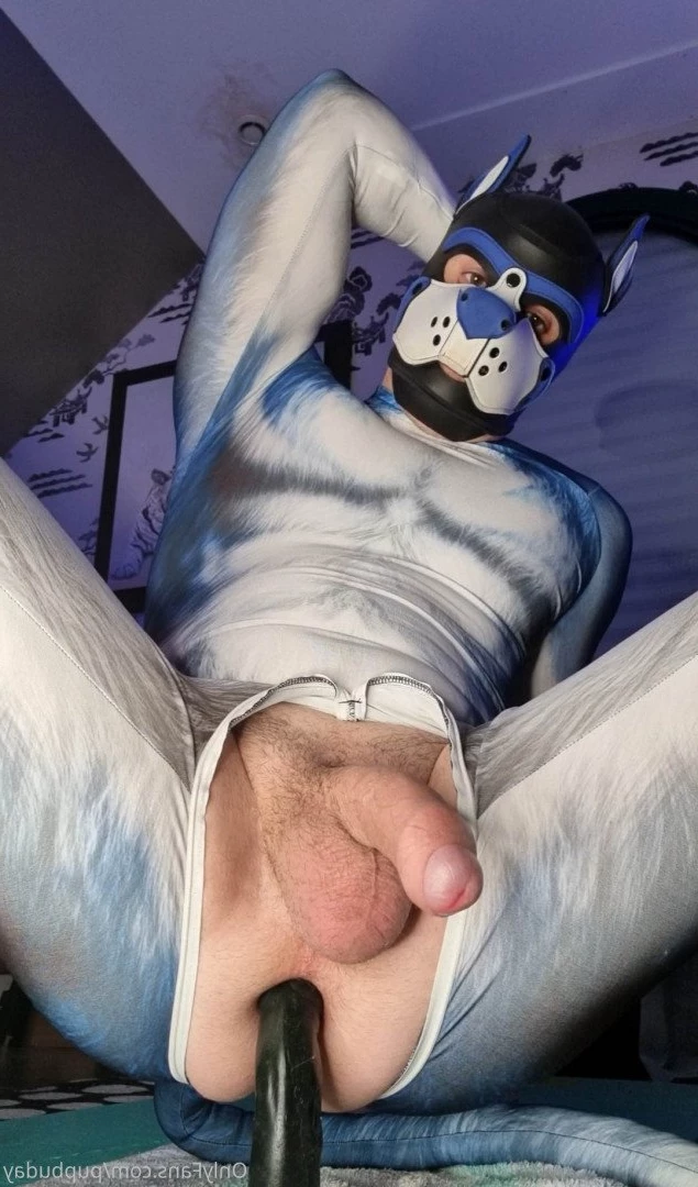 pupbuday Onlyfans leaked photo 2878334 on Hotleaks.tv