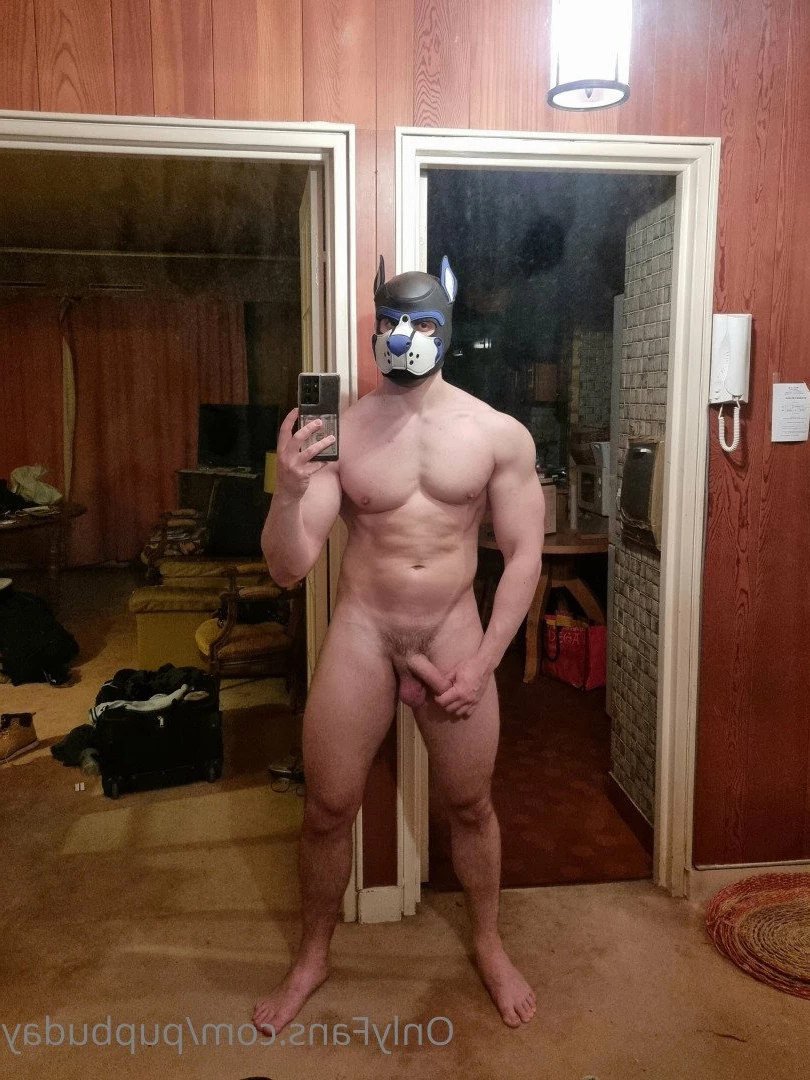 pupbuday Onlyfans leaked photo 2878546 on Hotleaks.tv