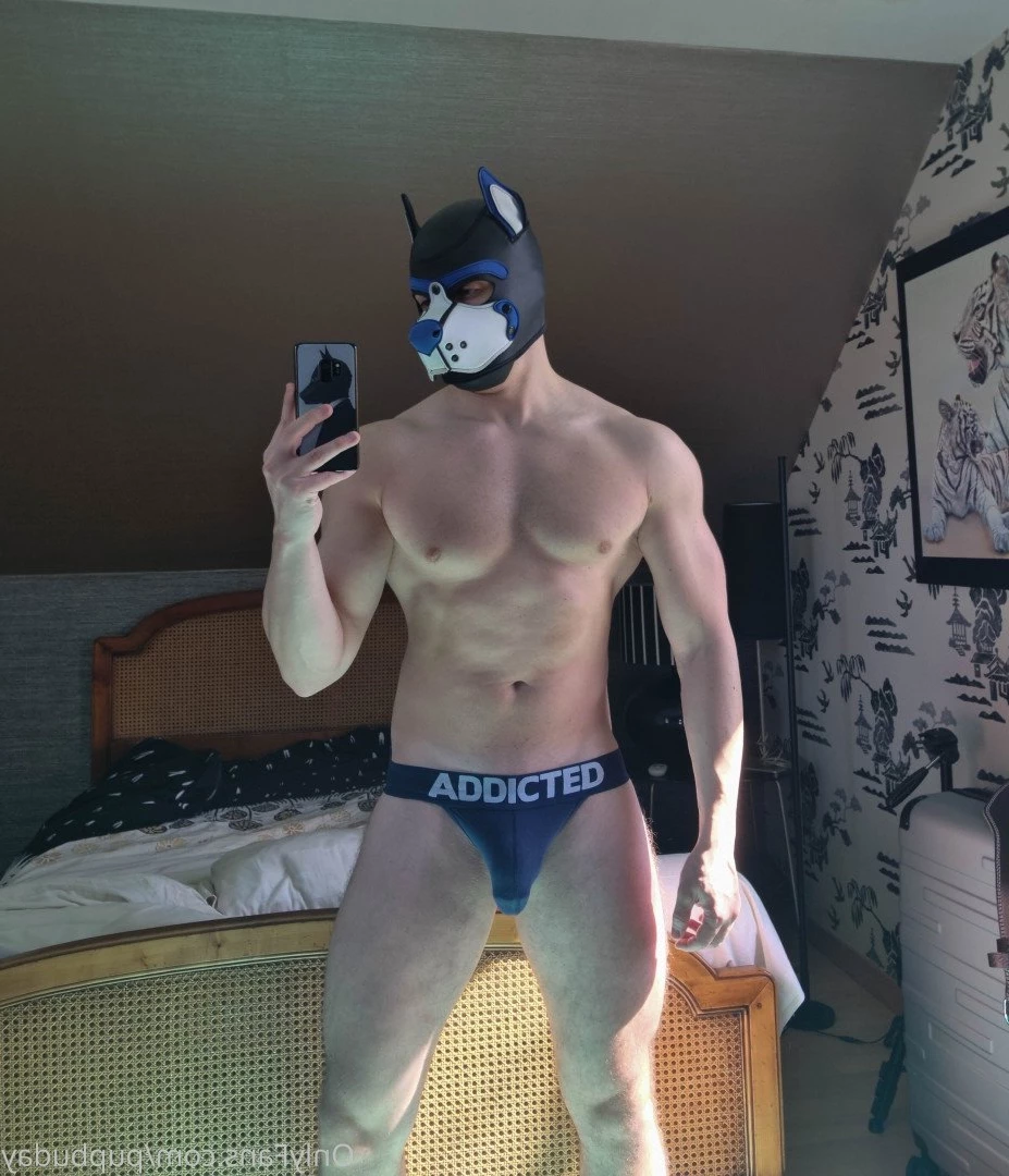 pupbuday Onlyfans leaked photo 2878558 on Hotleaks.tv