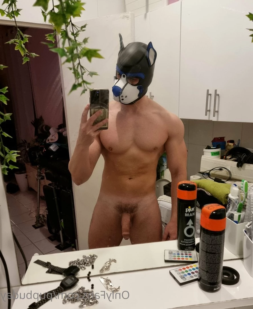 pupbuday Onlyfans leaked photo 2878583 on Hotleaks.tv