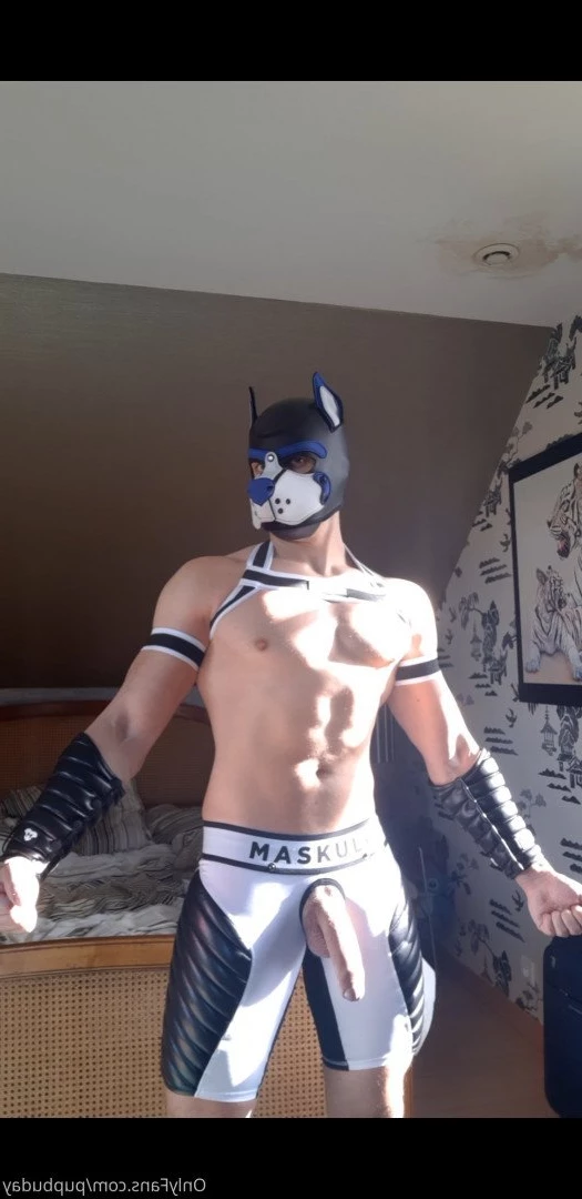 pupbuday Onlyfans leaked photo 2878597 on Hotleaks.tv