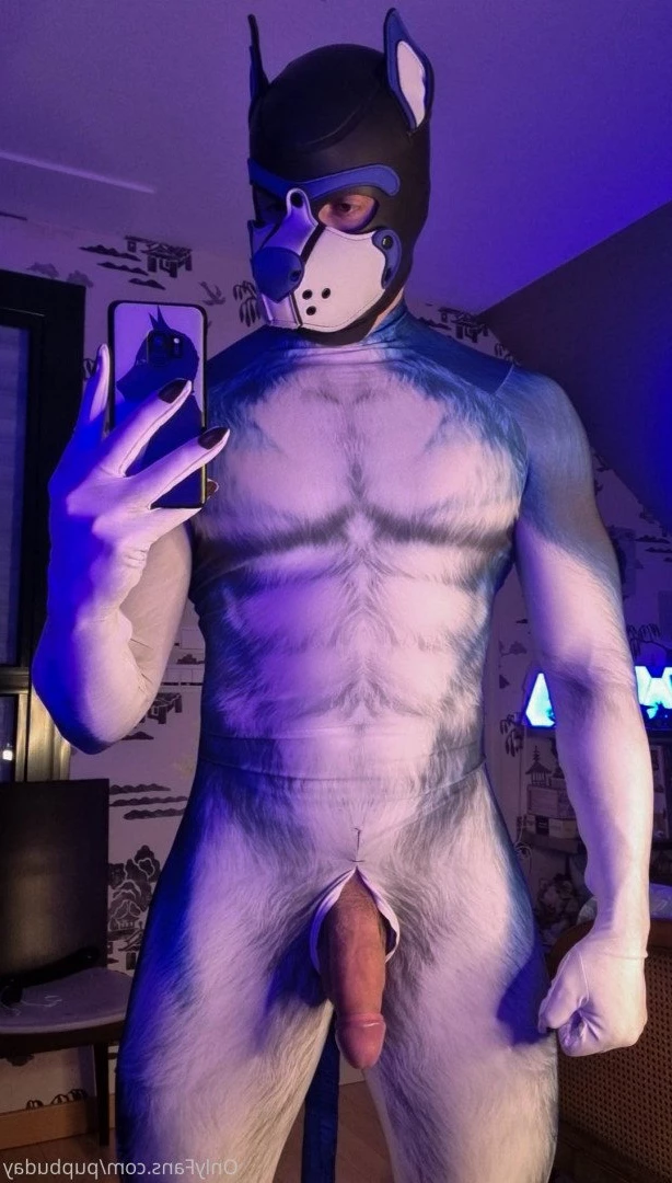 pupbuday Onlyfans leaked photo 2878615 on Hotleaks.tv