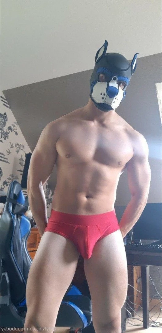 pupbuday Onlyfans leaked photo 2879356 on Hotleaks.tv