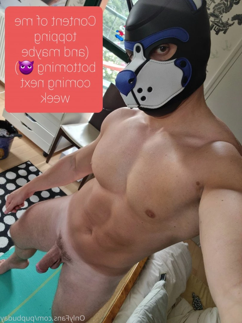 pupbuday Onlyfans leaked photo 2879905 on Hotleaks.tv