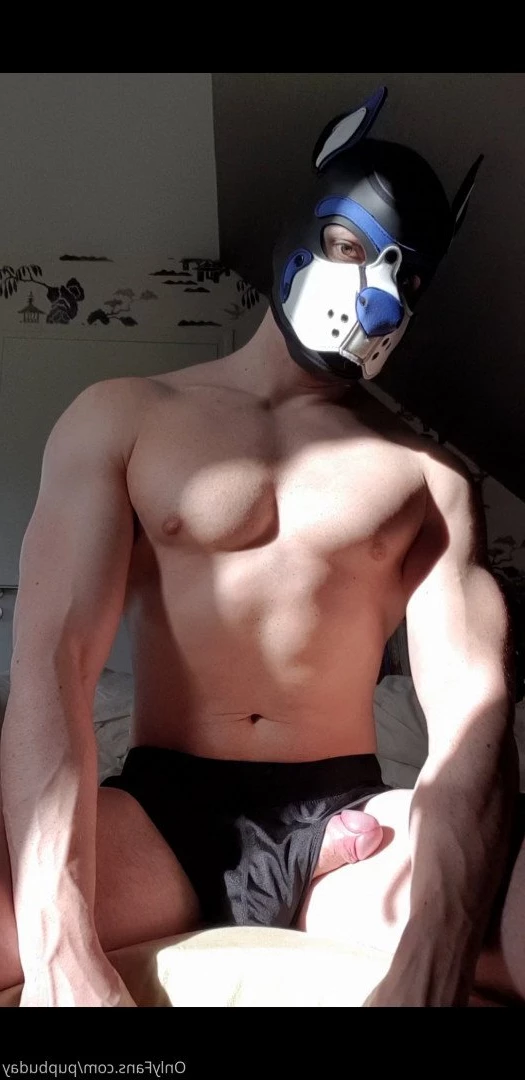 pupbuday Onlyfans leaked photo 2880270 on Hotleaks.tv