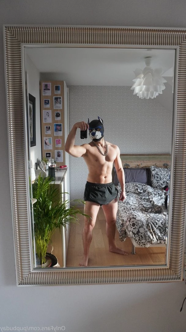 pupbuday Onlyfans leaked photo 2880321 on Hotleaks.tv