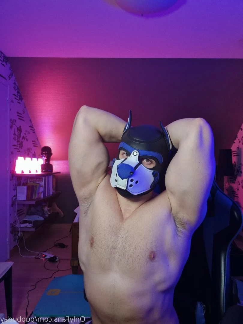 pupbuday Onlyfans leaked photo 2880383 on Hotleaks.tv