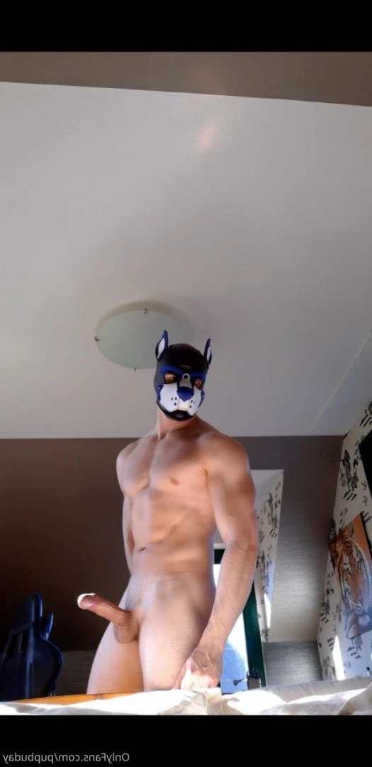 pupbuday Onlyfans leaked photo 5814771 on Hotleaks.tv