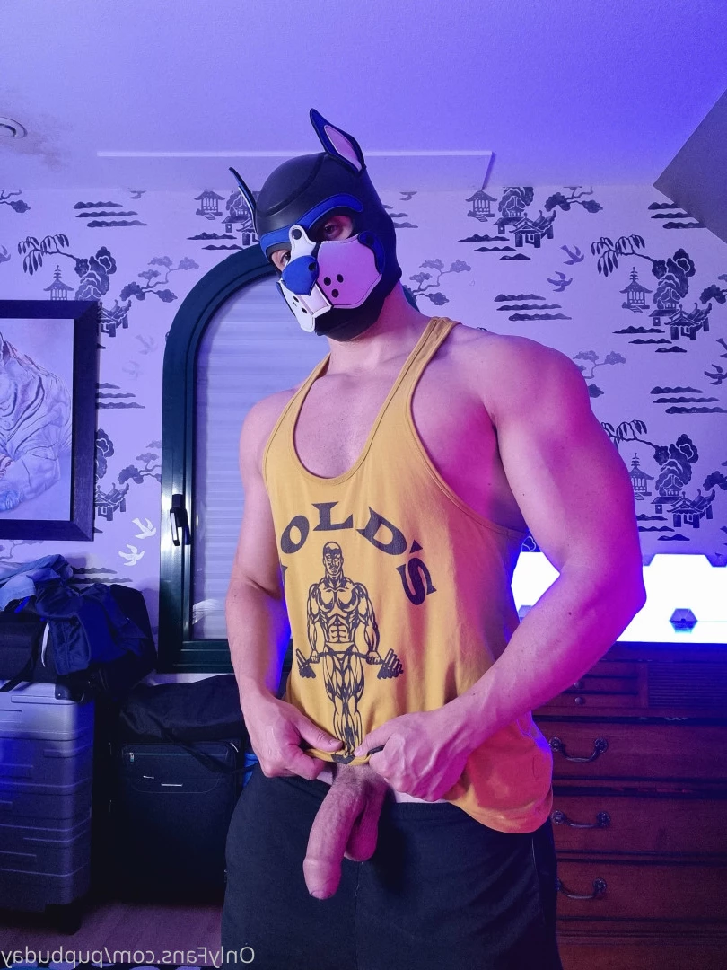 pupbuday Onlyfans leaked photo 5814841 on Hotleaks.tv