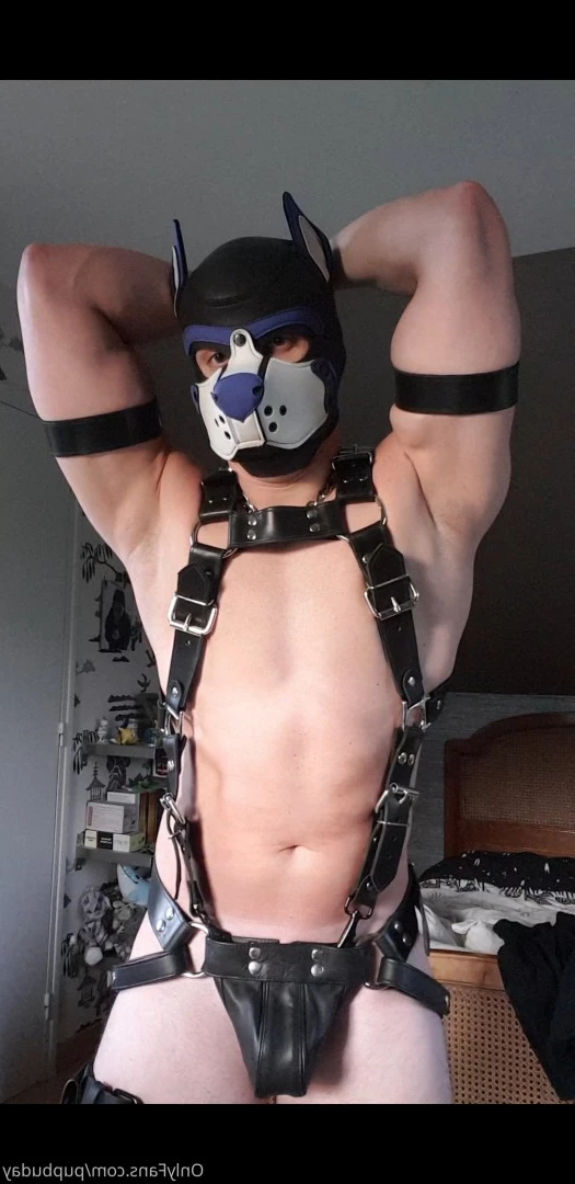 pupbuday Onlyfans leaked photo 5814882 on Hotleaks.tv