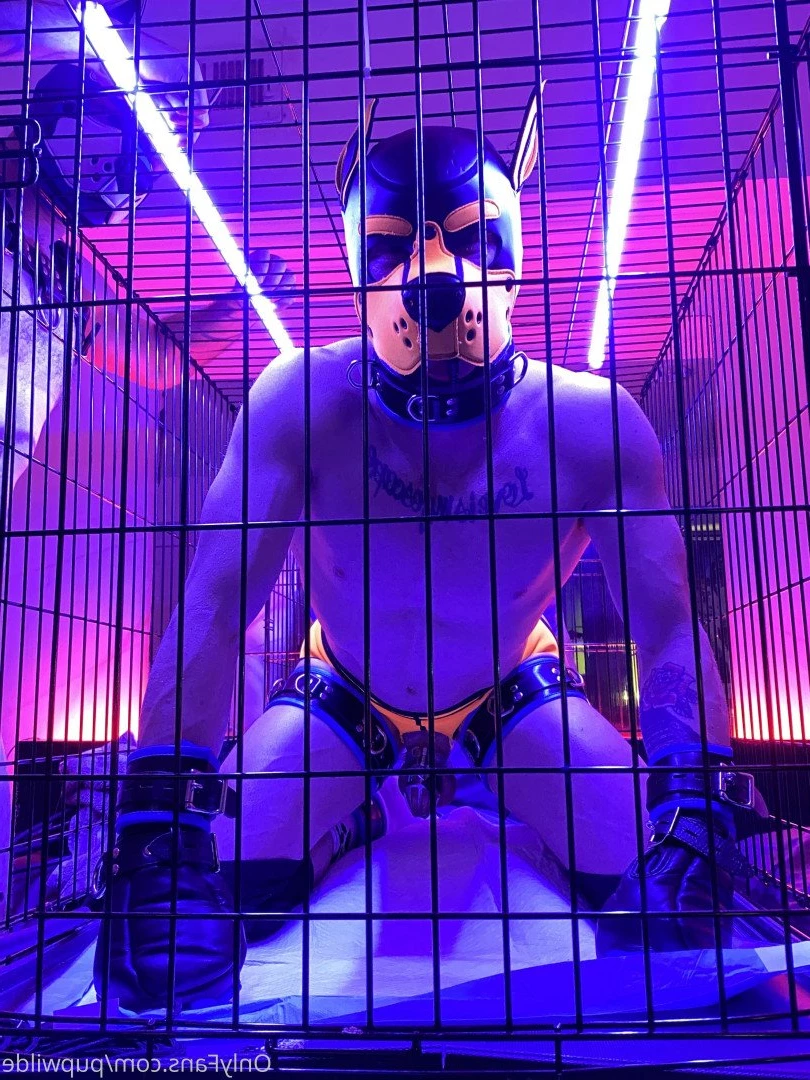 Pup Wilde [ pupwilde ] Onlyfans leaked photo 2949920 on Hotleaks.tv