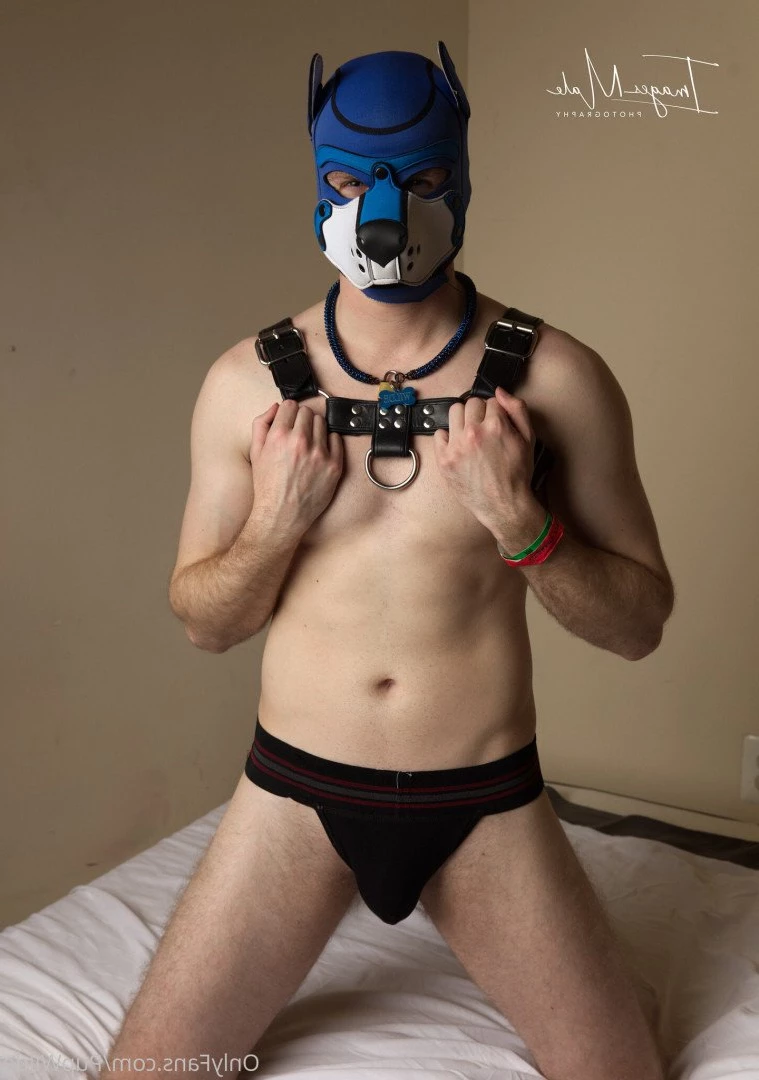 Pup Wilde [ pupwilde ] Onlyfans leaked photo 2949930 on Hotleaks.tv