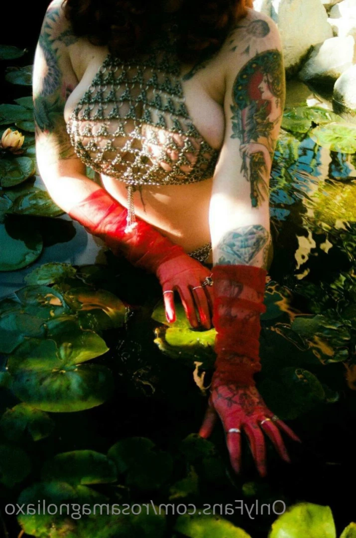Rosa Magnolia 🌹 [ rosamagnoliaxo ] Onlyfans leaked photo 12592787 on Hotleaks.tv