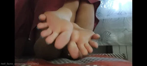 14160520