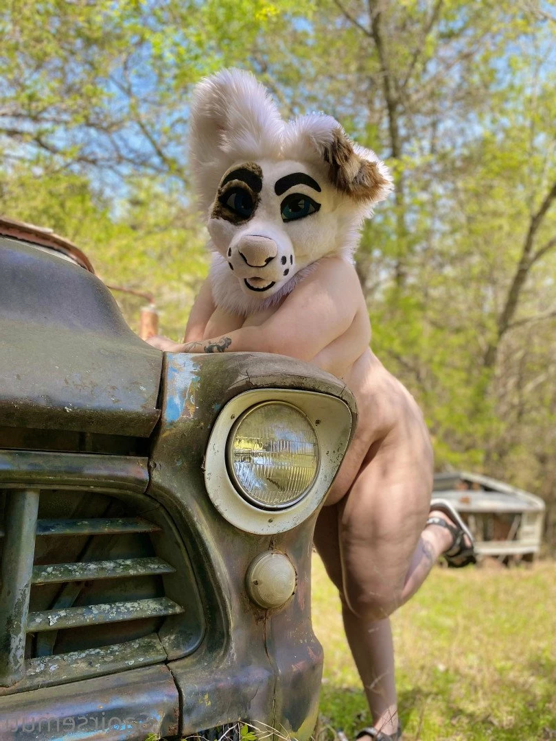 🔞💦Huff Puppy 💦🔞 [ saoirsemutt ] Onlyfans leaked photo 3022078 on Hotleaks.tv