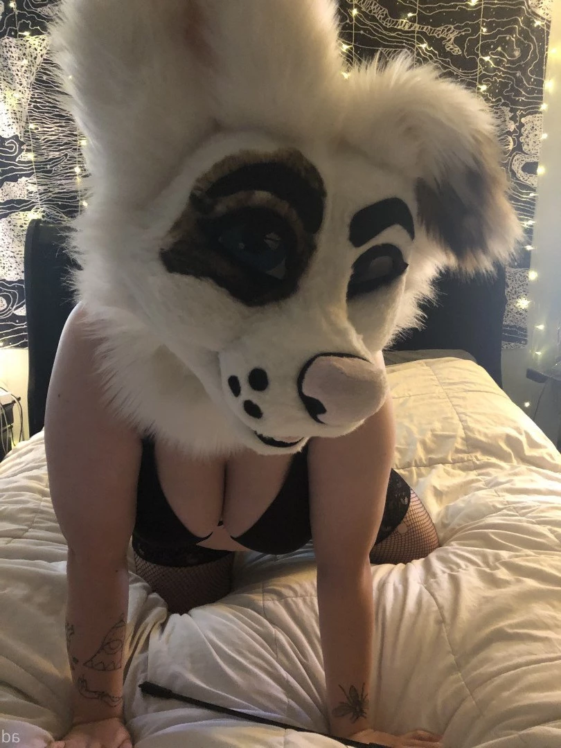🔞💦Huff Puppy 💦🔞 [ saoirsemutt ] Onlyfans leaked photo 3024121 on Hotleaks.tv