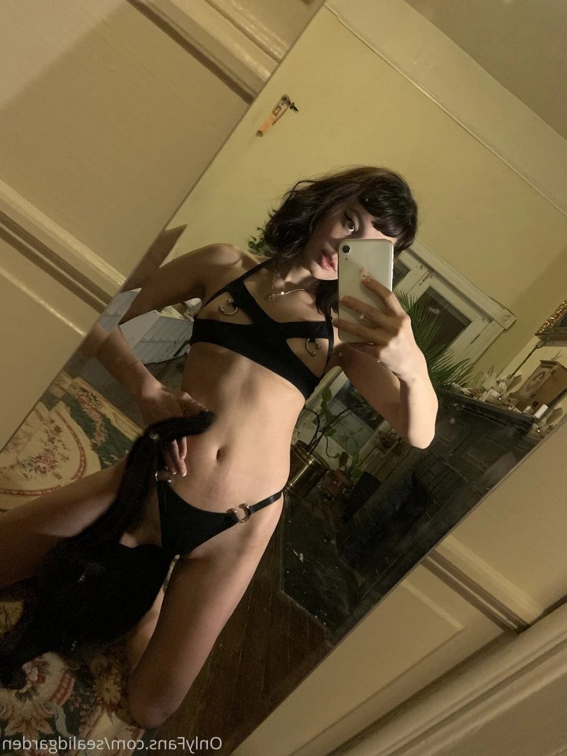 Sealid [ sealidgarden ] Onlyfans leaked photo 2832927 on Hotleaks.tv