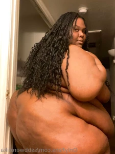 15739221