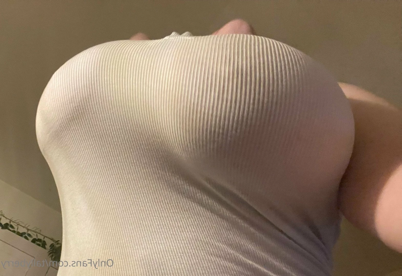 Tally [ tallyberry ] Onlyfans leaked photo 2682999 on Hotleaks.tv