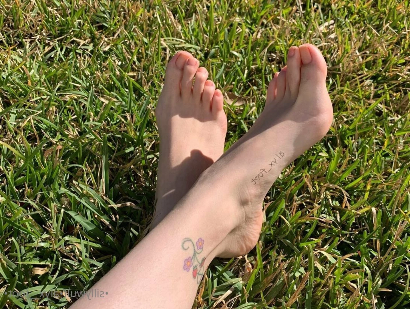 Alyx_Foot [ tinykittie ] Onlyfans leaked photo 9129182 on Hotleaks.tv