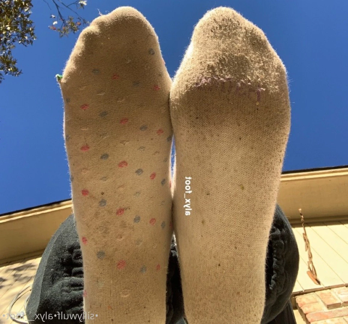 Alyx_Foot [ tinykittie ] Onlyfans leaked photo 9129698 on Hotleaks.tv