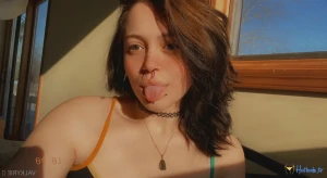 2628831