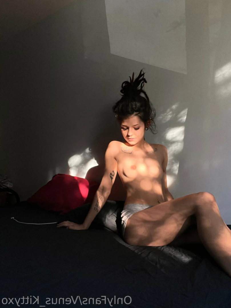 Venus Kittyxo [ venus_kittyxo ] Onlyfans leaked photo 12718574 on Hotleaks.tv